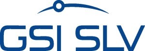 GSI_Logo_HKS43-300x105
